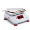 Waga kontrolna OHAUS Valor 2000 V22PWE30T, 30 kg / 5 g, IPX8