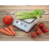 Waga stołowa kontrolna gastronomiczna pomocniczna VALOR 1000 3kg / 0.5g