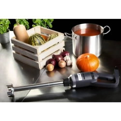 Mocny mikser blender robot ręczny dł. ramienia 400mm 500W 230V Royal