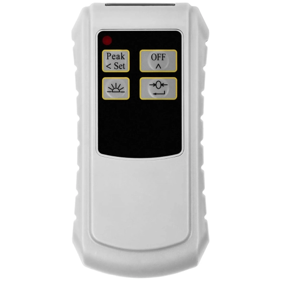 Steinberg Systems Waga hakowa podwieszana magazynowa z pilotem LCD do