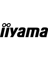 iiyama