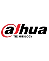 DAHUA DAHUA