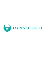 Forever Light Forever Light