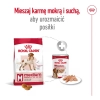 ROYAL CANIN SHN Medium Adult BF 15kg (WYPRZEDAŻ)