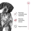 ROYAL CANIN SHN Medium Adult BF 15kg (WYPRZEDAŻ)