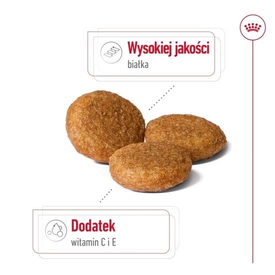 ROYAL CANIN SHN Medium Adult BF 15kg (WYPRZEDAŻ)