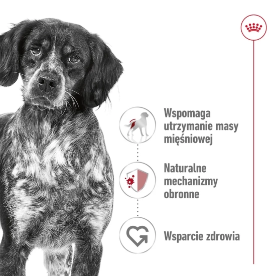 ROYAL CANIN SHN Medium Adult BF 15kg (WYPRZEDAŻ)