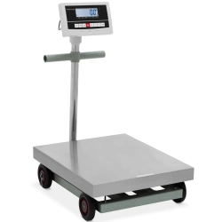 Steinberg Systems Waga platformowa magazynowa kontrolna 50 x 60 cm 600 kg