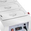 Royal Catering Podgrzewacz do czekolady sosów polew elektryczny 3 x 3.2 l