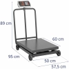 Steinberg Systems Waga platformowa przemysłowa na kółkach 600 kg / 100 g