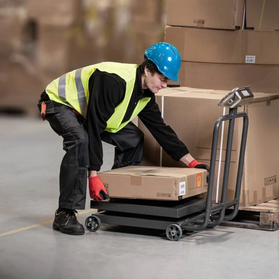 Steinberg Systems Waga platformowa przemysłowa na kółkach 600 kg / 100 g