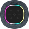 CANYON Głośnik Bluetooth BSP-8 CNE-CBTSP8G 10 W szary