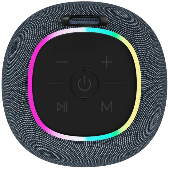 CANYON Głośnik Bluetooth BSP-8 CNE-CBTSP8G 10 W szary