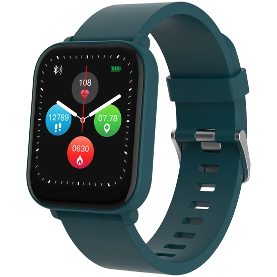 Canyon Smartwatch Easy SW-54 Zielony CNS-SW54BG