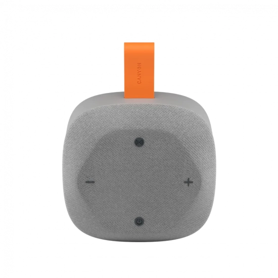 Canyon Głośnik Bluetooth Hexagon 10 8 W IPX5 szaro-pomarańczowy