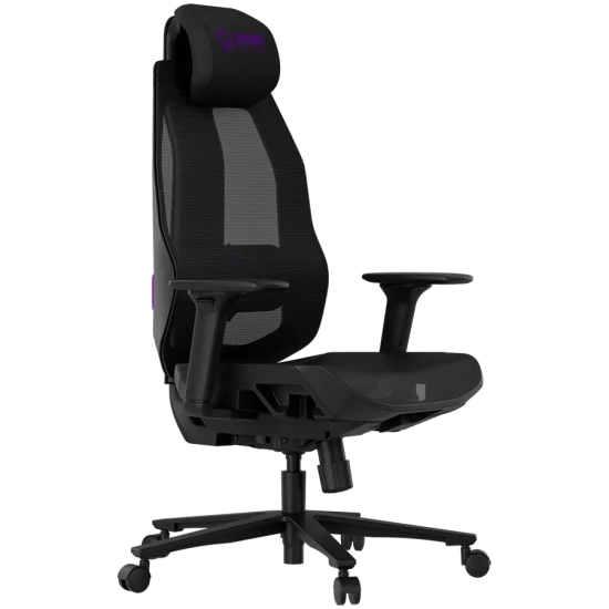 Fotel gamingowy LORGAR CHP51 Pro czarno-fioletowy