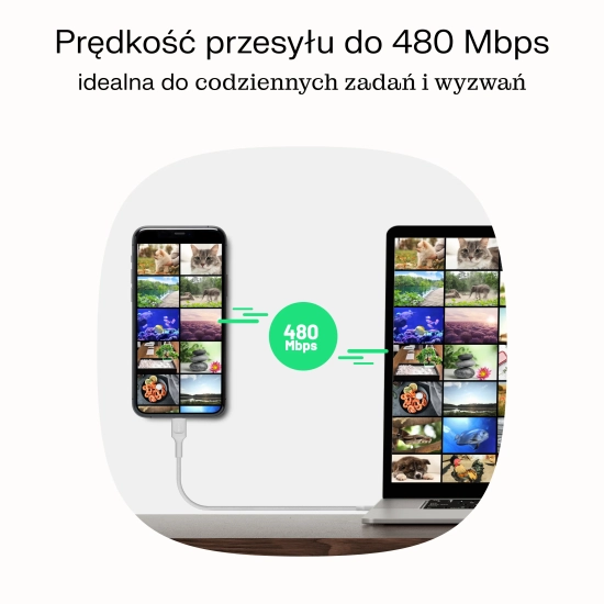 Green Cell Kabel PowerStream USB-C–USB-C 100 W 0,3 m biały
