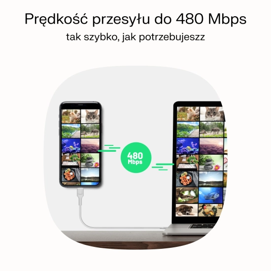 Green Cell Kabel PowerFlex USB-C–USB-C 100 W 2 m czarny
