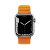 Pasek ze stalową sprzączką Alpine do Apple Watch 38 / 40 / 41 mm