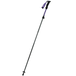 Qunature Kij kijek trekkingowy nordic walking aluminiowy 110 - 130 cm