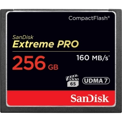 Karta pamięci SanDisk Extreme PRO 256 GB CompactFlash, model SDCFXPS-256G-X46.