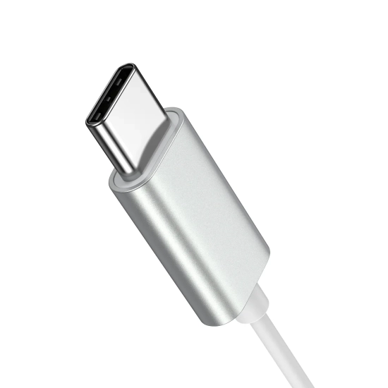 JOYROOM Zestaw słuchawkowy słuchawki douszne USB-C JR-EC06 srebrne