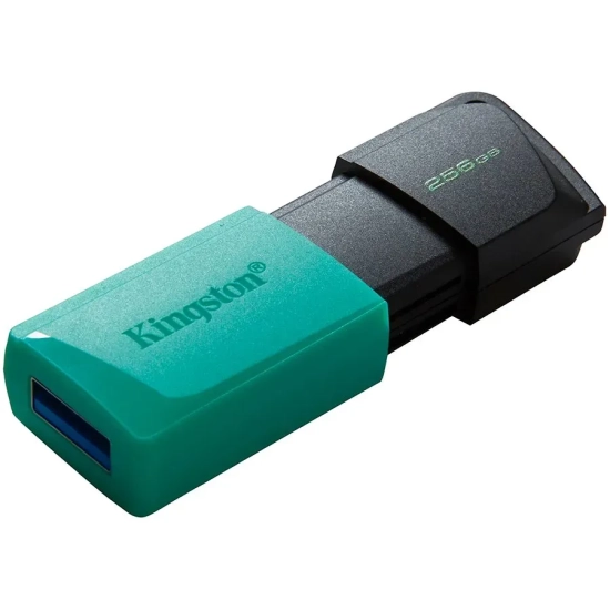 Pendrive Kingston DataTraveler Exodia M 256GB DTXM/256GB