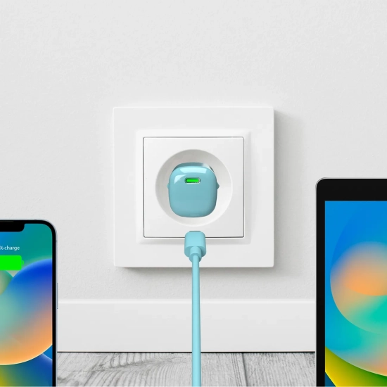PURO Ładowarka sieciowa USB-C GaN 20W - zielona