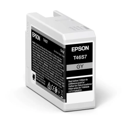 Oryginalny tusz Epson szary C13T46S700