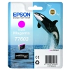 Oryginalny tusz Epson T7603 vivid C13T76034N10, magenta, 25,9 ml