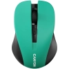 Mysz bezprzewodowa Canyon MW-1 CNE-CMSW1GR zielona