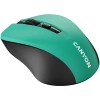 Mysz bezprzewodowa Canyon MW-1 CNE-CMSW1GR zielona